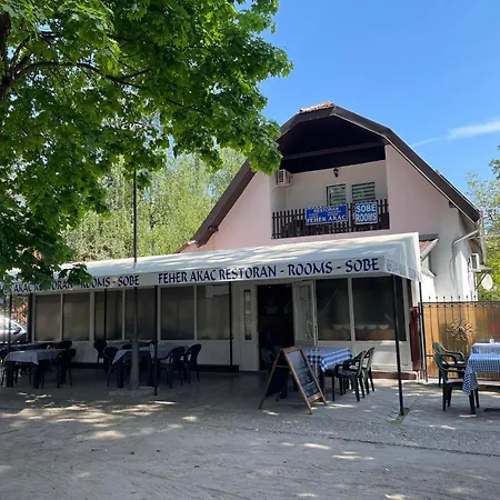 Guest house Feher Akac